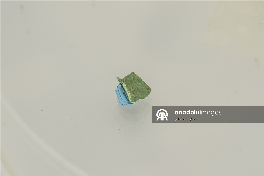 Bilim İnsanları Arktik Okyanusu’nda Mikroplastik, Deniz Ekos
