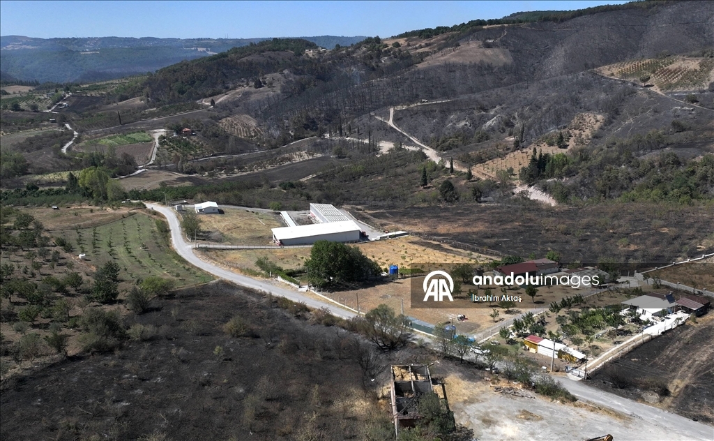 Kocaeli'de orman yangınından etkilenen alanlar havadan görüntülendi