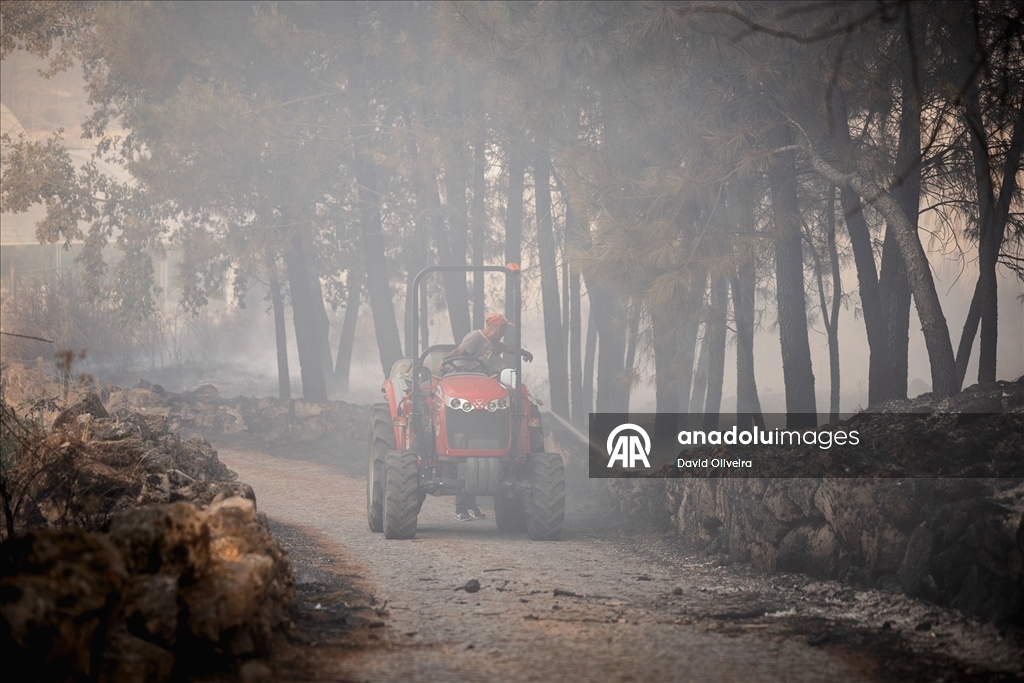 Portekiz'deki orman yangınlarına müdahale devam ediyor