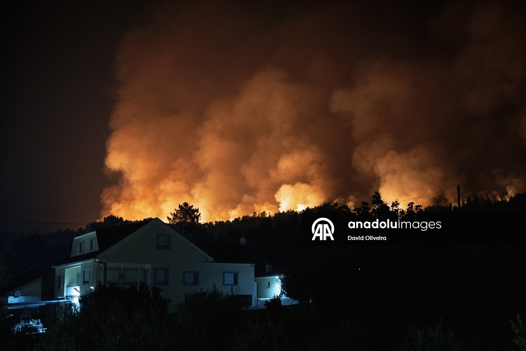 Portekiz'deki orman yangınlarına müdahale devam ediyor