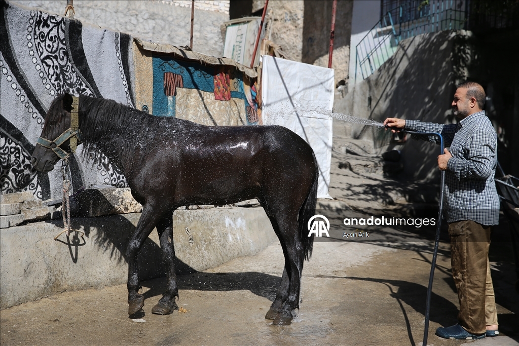Diyarbakır'ın "Buzcu Baba"sı tarladaki işçileri serinletmek için at sırtında yollarda