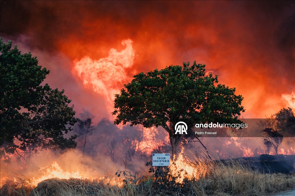 Firefighting efforts continue in Spain's Galicia