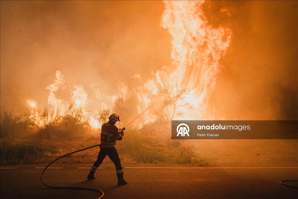 Firefighting efforts continue in Spain's Galicia