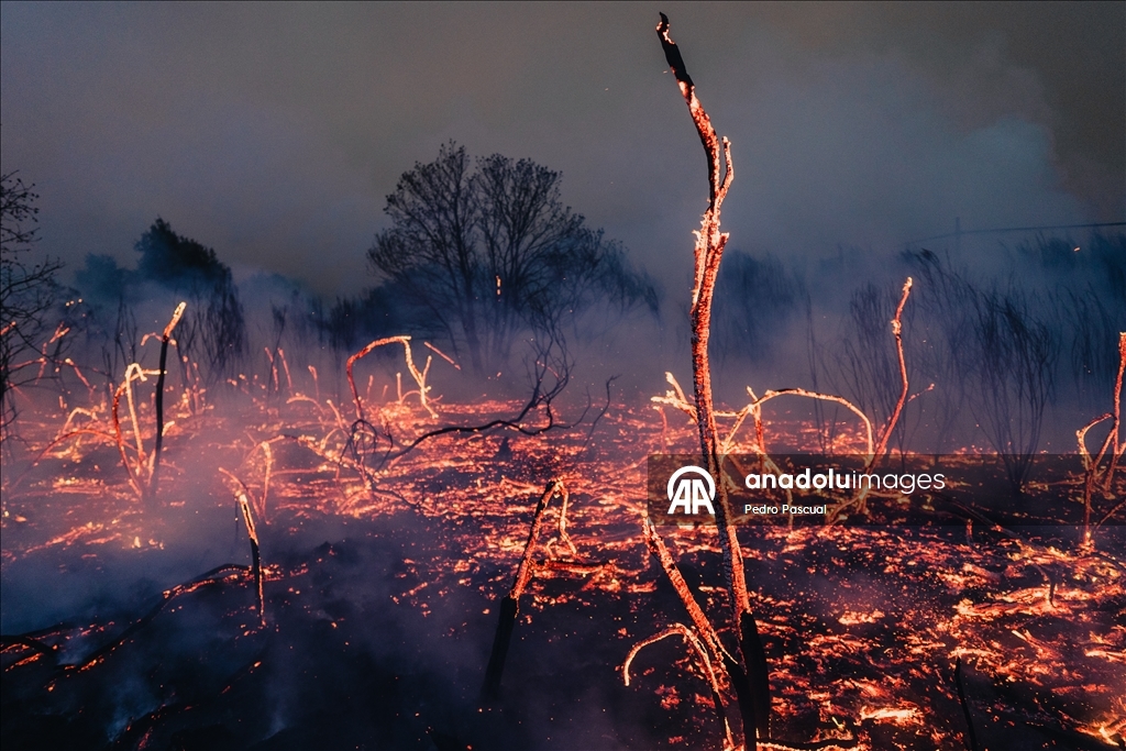 Firefighting efforts continue in Spain's Galicia