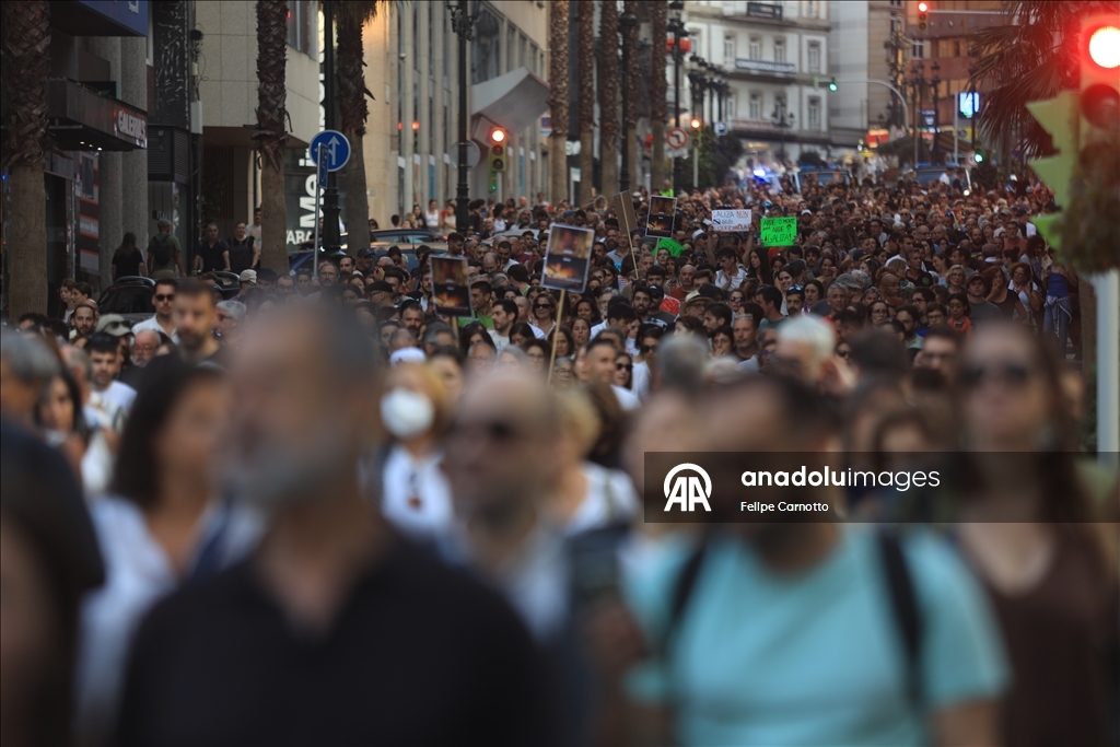 Demonstrators in Spain rally against wildfire management