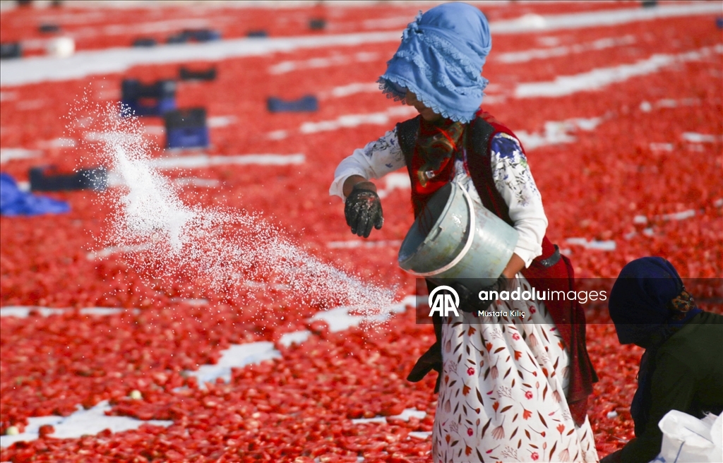 Karacadağ’da domates kurutma mesaisi