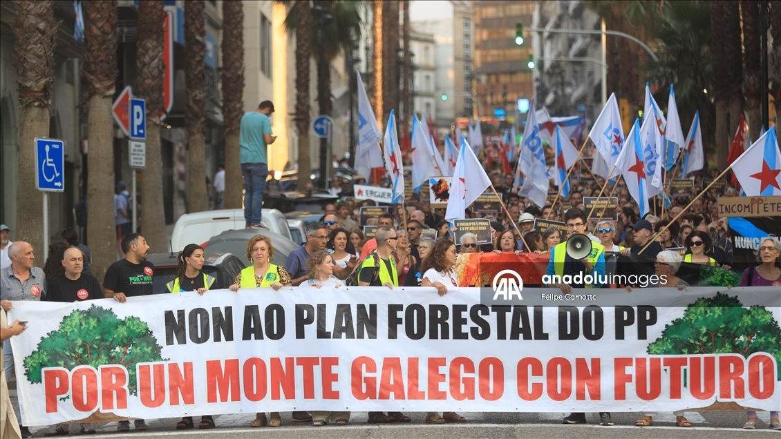 Demonstrators in Spain rally against wildfire management