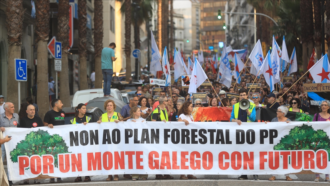 Demonstrators in Spain rally against wildfire management