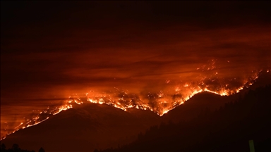 California'nın Napa bölgesinde orman yangını