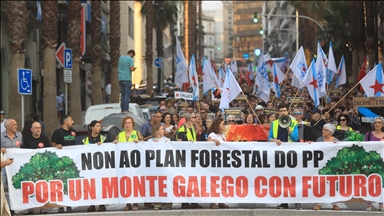 Demonstrators in Spain rally against wildfire management