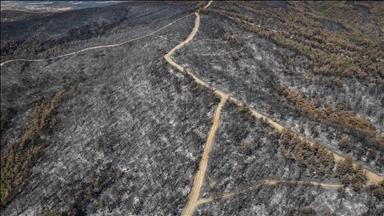 Çanakkale'de yangında zarar gören alanlar dronla görüntülendi
