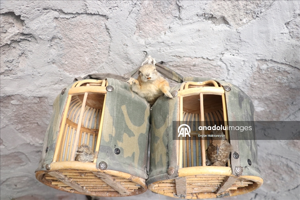 Müze gibi evinde 40 yıldır biriktirdiği antikaları sergiliyor