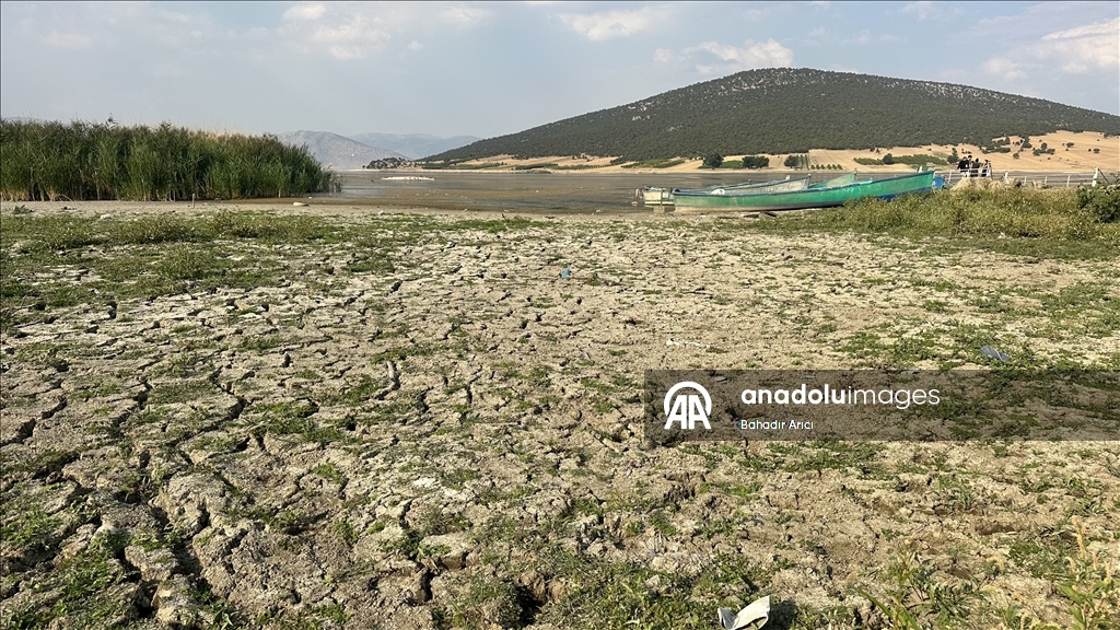 Mada Adası kuraklık ve iklim değişikliği ile mücadele ediyor.