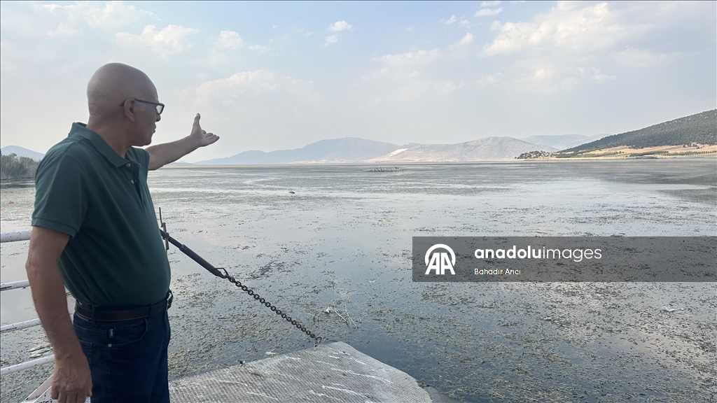 Mada Adası kuraklık ve iklim değişikliği ile mücadele ediyor.