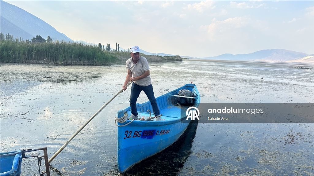 Mada Adası kuraklık ve iklim değişikliği ile mücadele ediyor.
