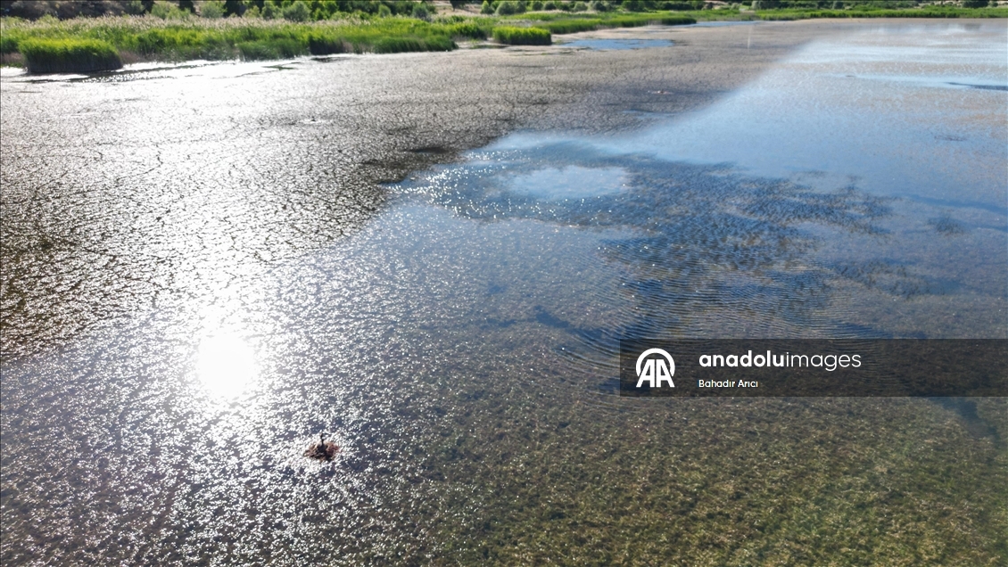 Mada Adası kuraklık ve iklim değişikliği ile mücadele ediyor.