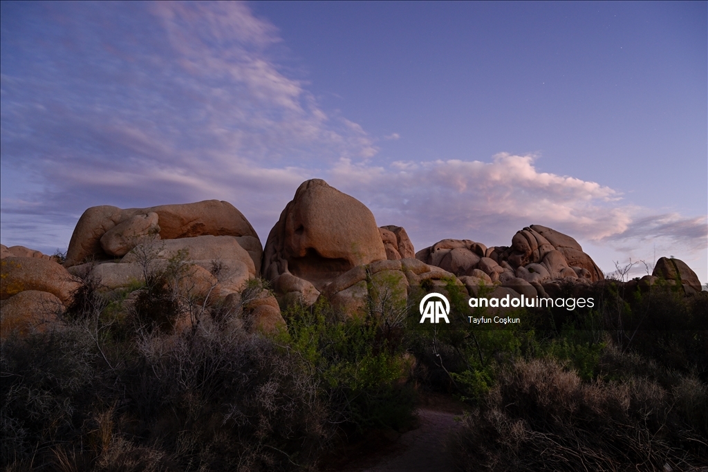 Kaliforniya’daki Joshua Tree Ulusal Parkı