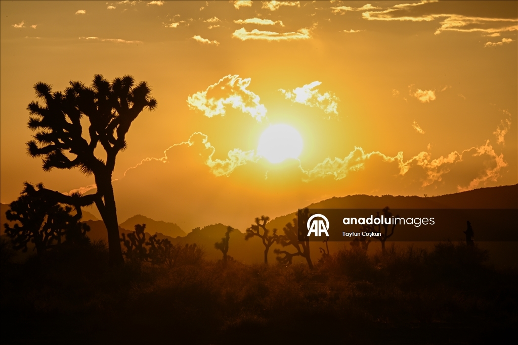 California’daki Joshua Tree Ulusal Parkı’nda gün batımı