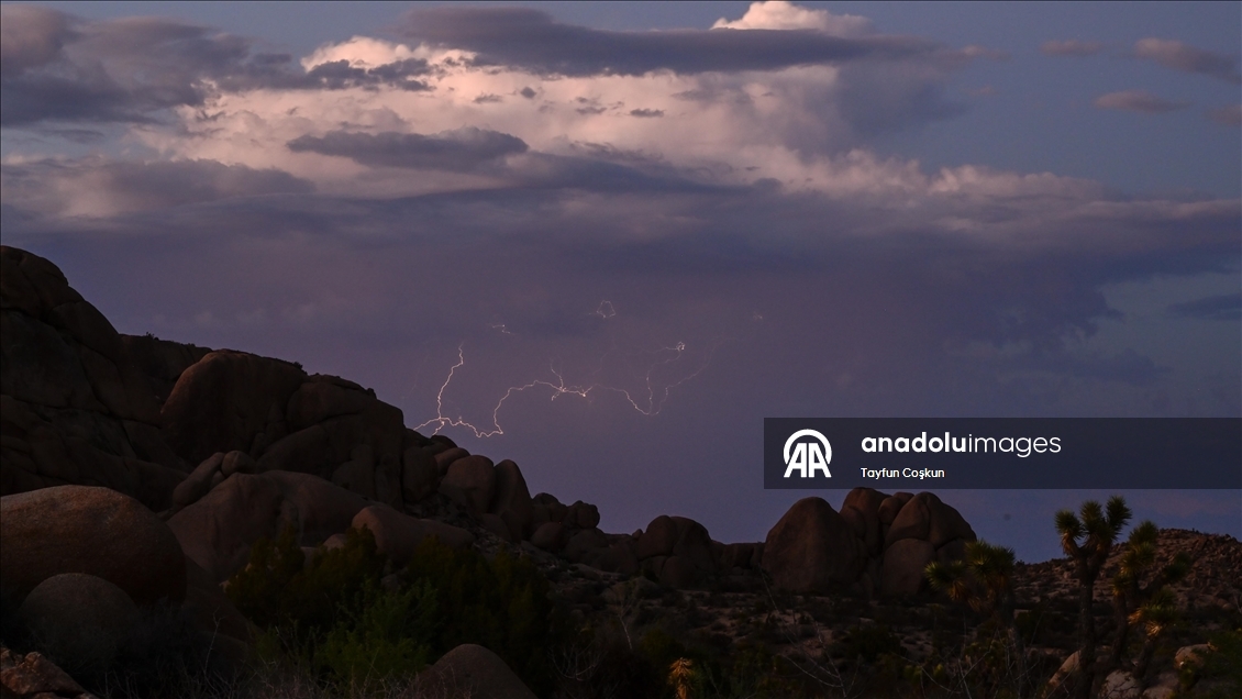 Kaliforniya’daki Joshua Tree Ulusal Parkı