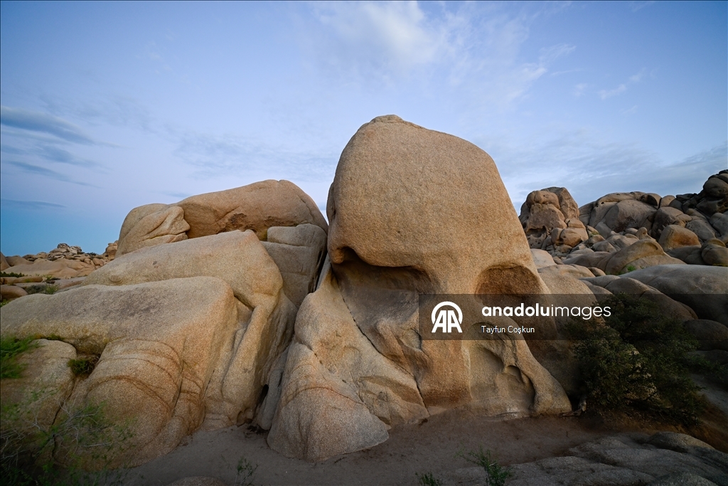 Kaliforniya’daki Joshua Tree Ulusal Parkı