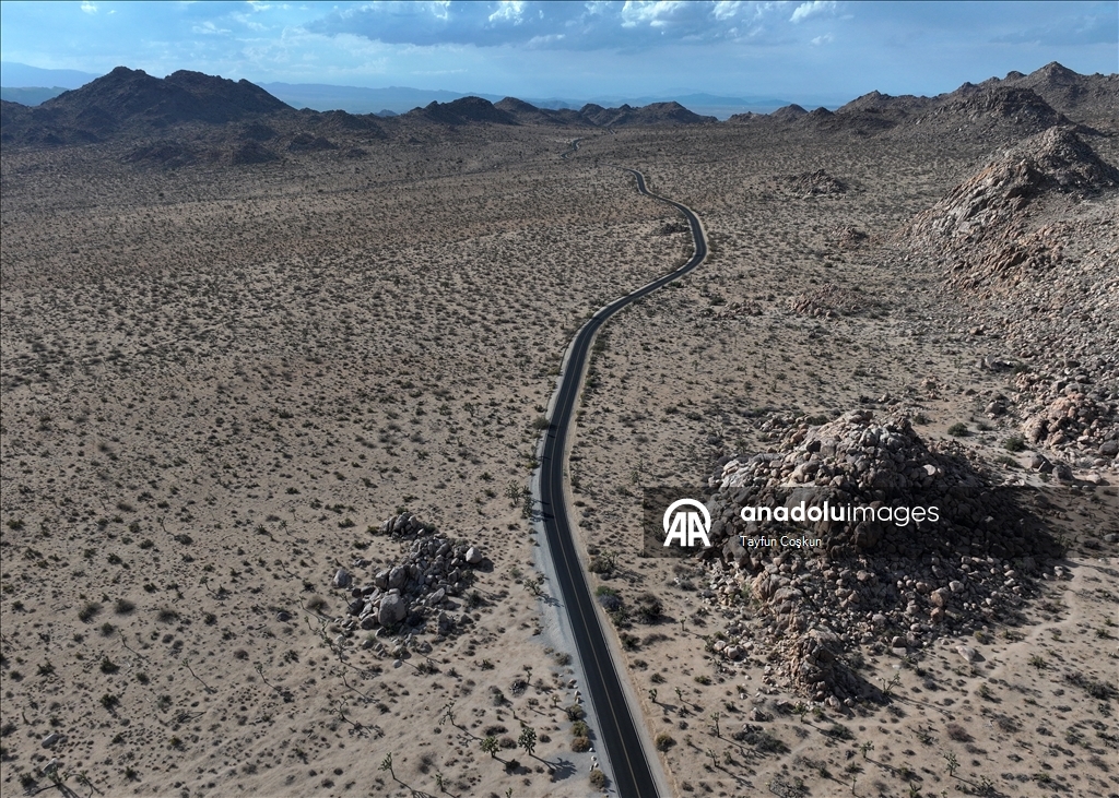 Kaliforniya’daki Joshua Tree Ulusal Parkı