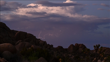 Kaliforniya’daki Joshua Tree Ulusal Parkı