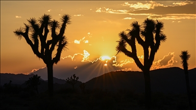 California’daki Joshua Tree Ulusal Parkı’nda gün batımı