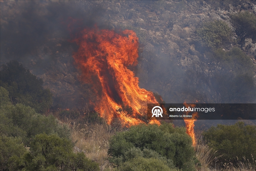 İtalya’nın Sicilya Adası orman yangınlarıyla mücadele ediyor