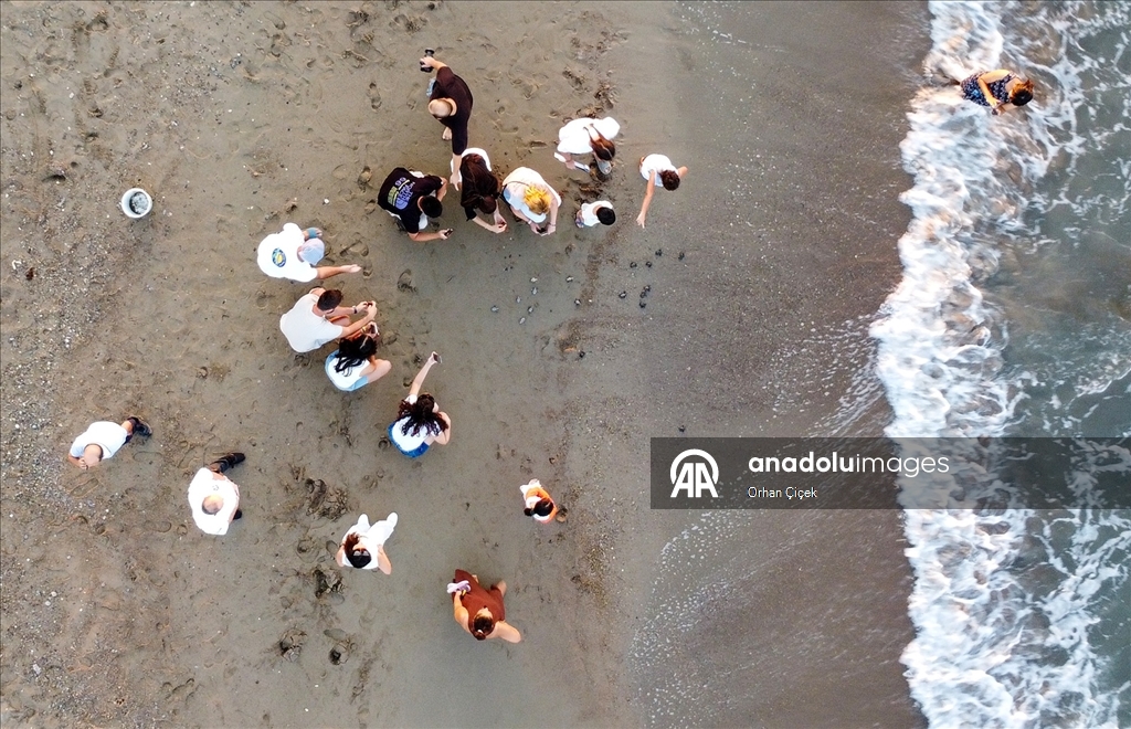 Antalya'da caretta caretta yavruları denizle buluştu