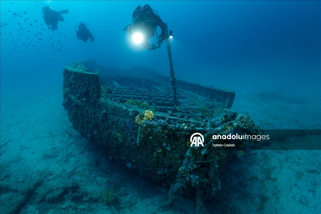 Çanakkale Savaşları'ndan kalma batık gemilere dalış yapıldı