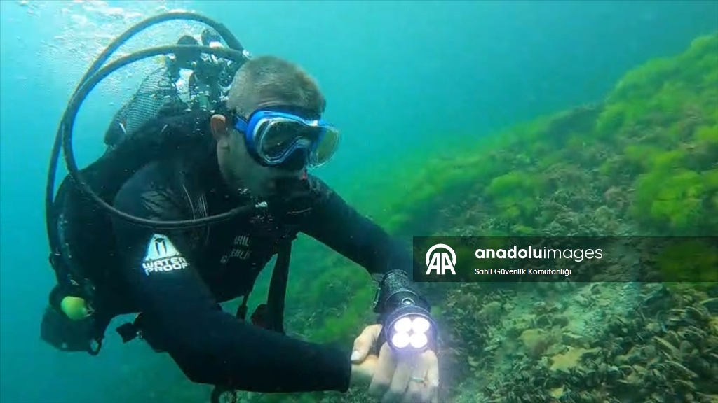 İstanbul Boğazı'ndaki yarışmada kaybolan Rus yüzücüyü arama çalışmaları sürüyor