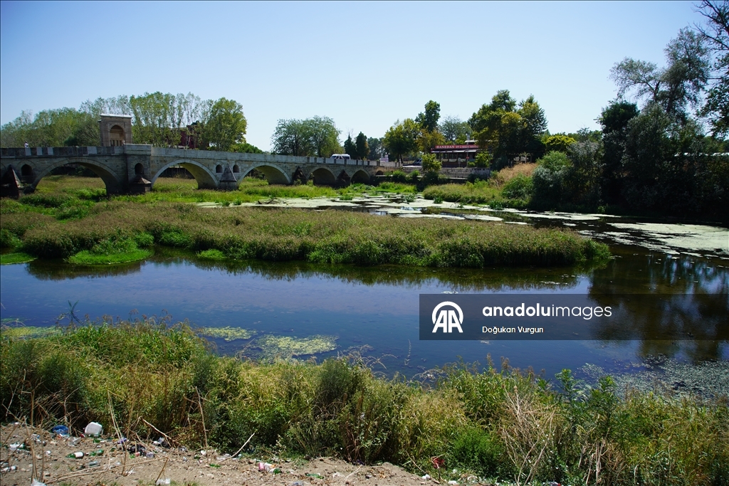 Tunca Nehri'nde kuraklık nedeniyle su akışının durduğu alanlar ot öbekleriyle kaplandı
