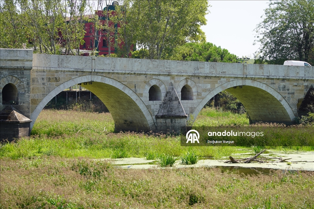 Tunca Nehri'nde kuraklık nedeniyle su akışının durduğu alanlar ot öbekleriyle kaplandı
