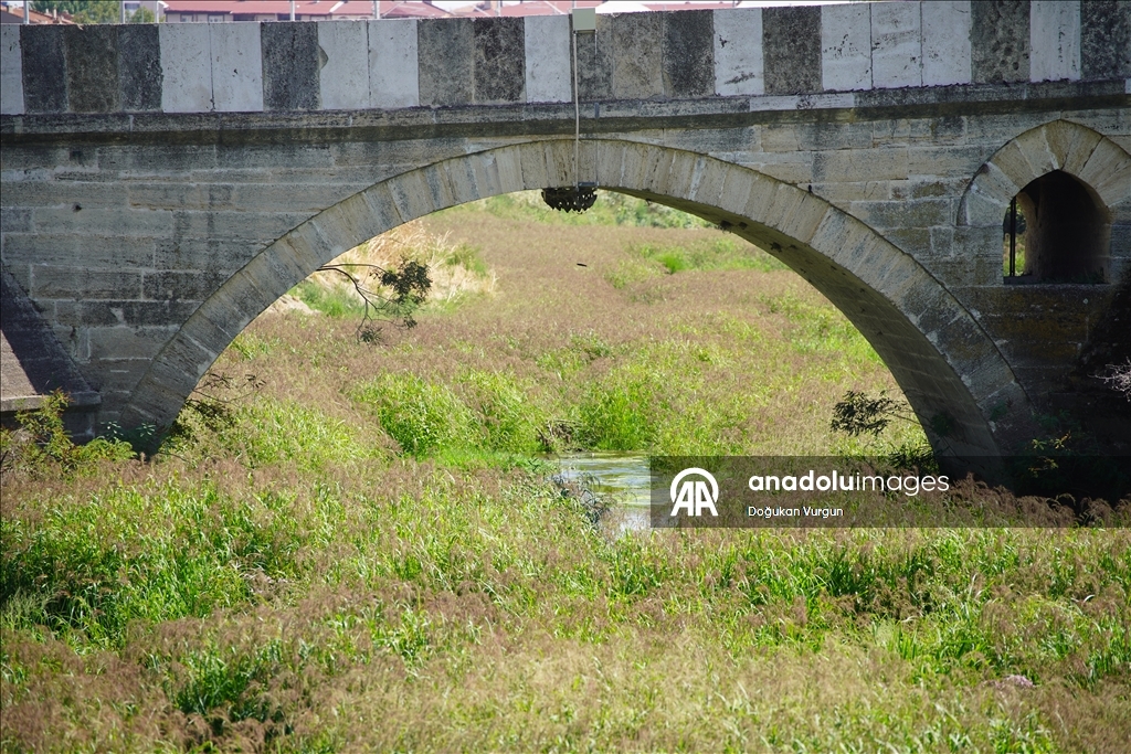 Tunca Nehri'nde kuraklık nedeniyle su akışının durduğu alanlar ot öbekleriyle kaplandı