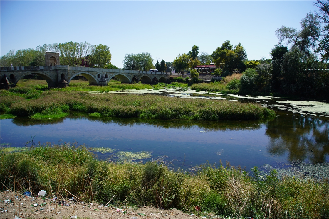 Tunca Nehri'nde kuraklık nedeniyle su akışının durduğu alanlar ot öbekleriyle kaplandı
