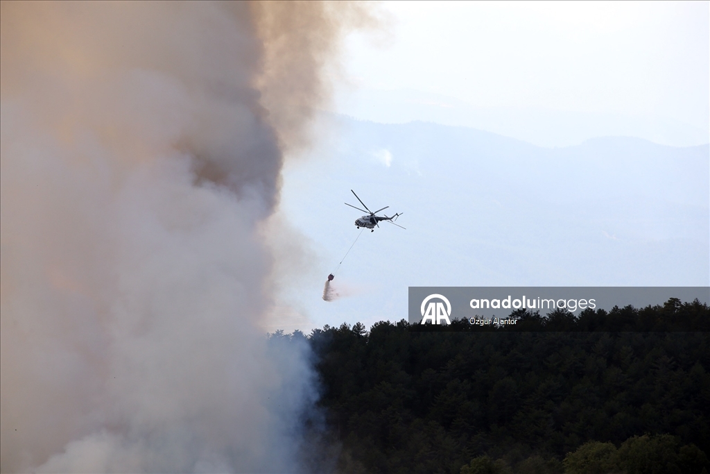 Kastamonu'da ormanlık alandaki 2 yangına müdahale sürüyor