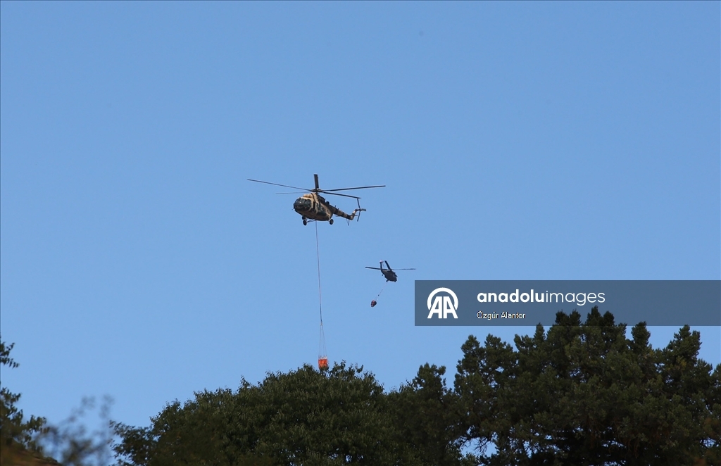 Kastamonu'da ormanlık alandaki 2 yangına müdahale sürüyor