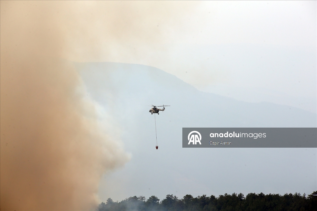 Kastamonu'da ormanlık alandaki 2 yangına müdahale sürüyor