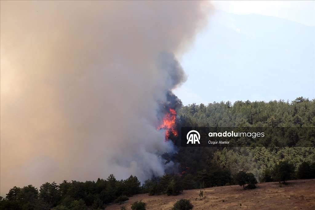 Kastamonu'da ormanlık alandaki 2 yangına müdahale sürüyor