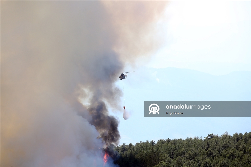 Kastamonu'da ormanlık alandaki 2 yangına müdahale sürüyor