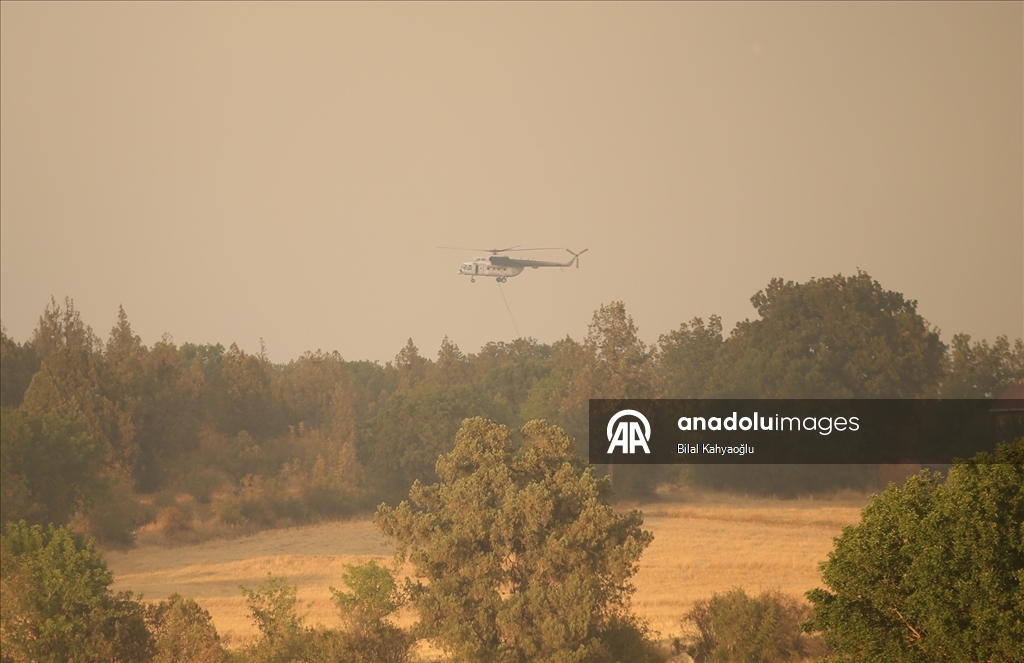 Kastamonu'da ormanlık alandaki 2 yangına müdahale sürüyor