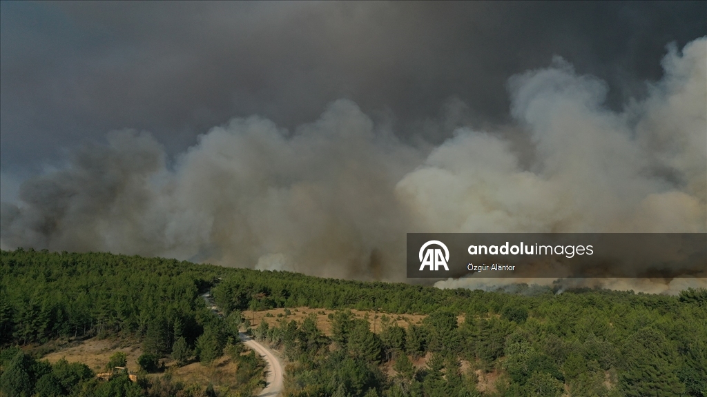 Kastamonu'da ormanlık alandaki 2 yangına müdahale sürüyor