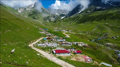 Kaçkarların Zirvesinde Doğa Harikası: Avusor Yaylası ve Gölü