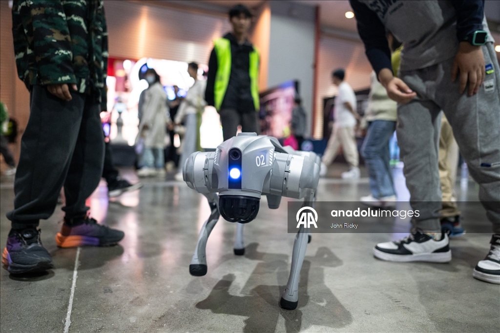 Çin'de Yapay Zeka Robot Sergisi