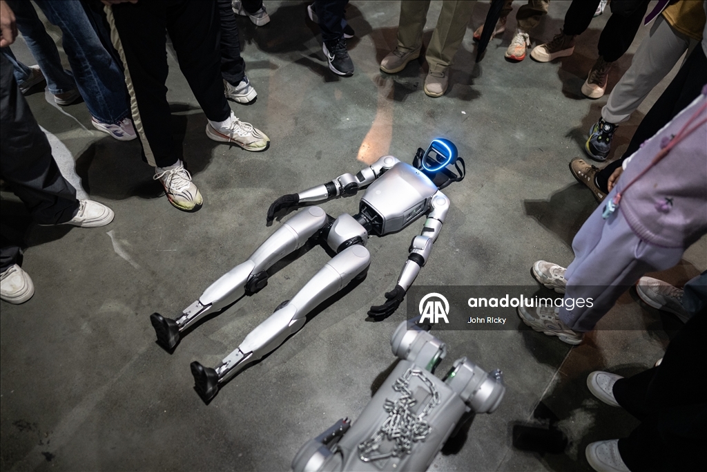 Çin'de Yapay Zeka Robot Sergisi