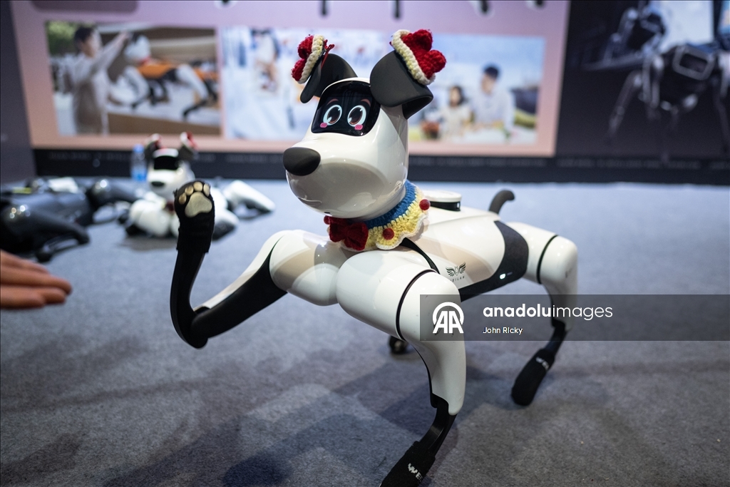 Çin'de Yapay Zeka Robot Sergisi