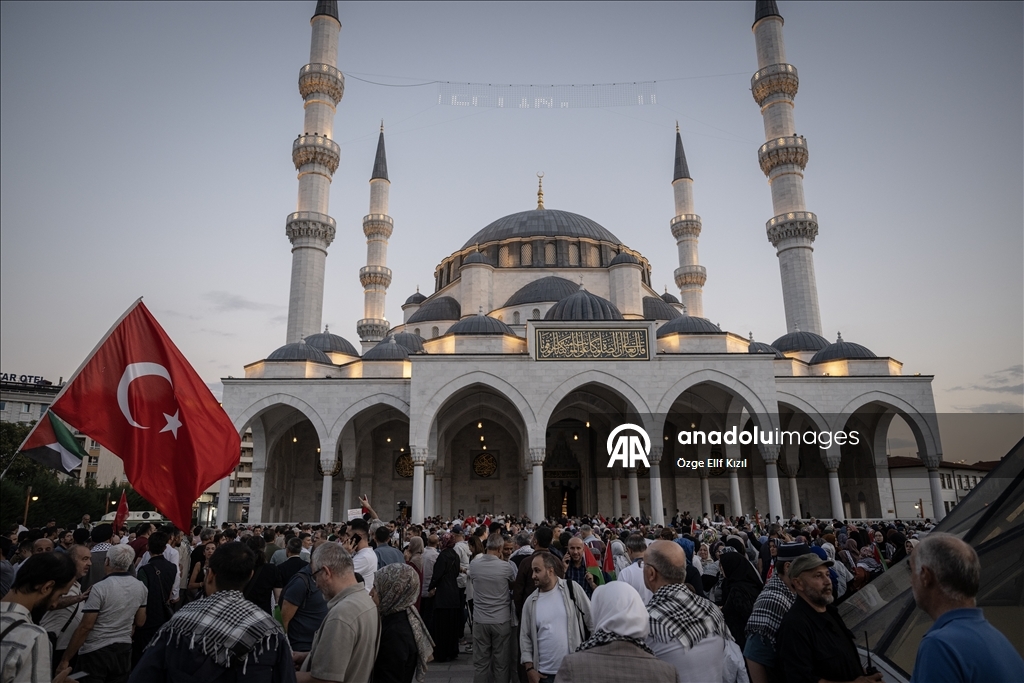 مئات الأتراك يتضامنون مع فلسطين و"أسطول الصمود العالمي"