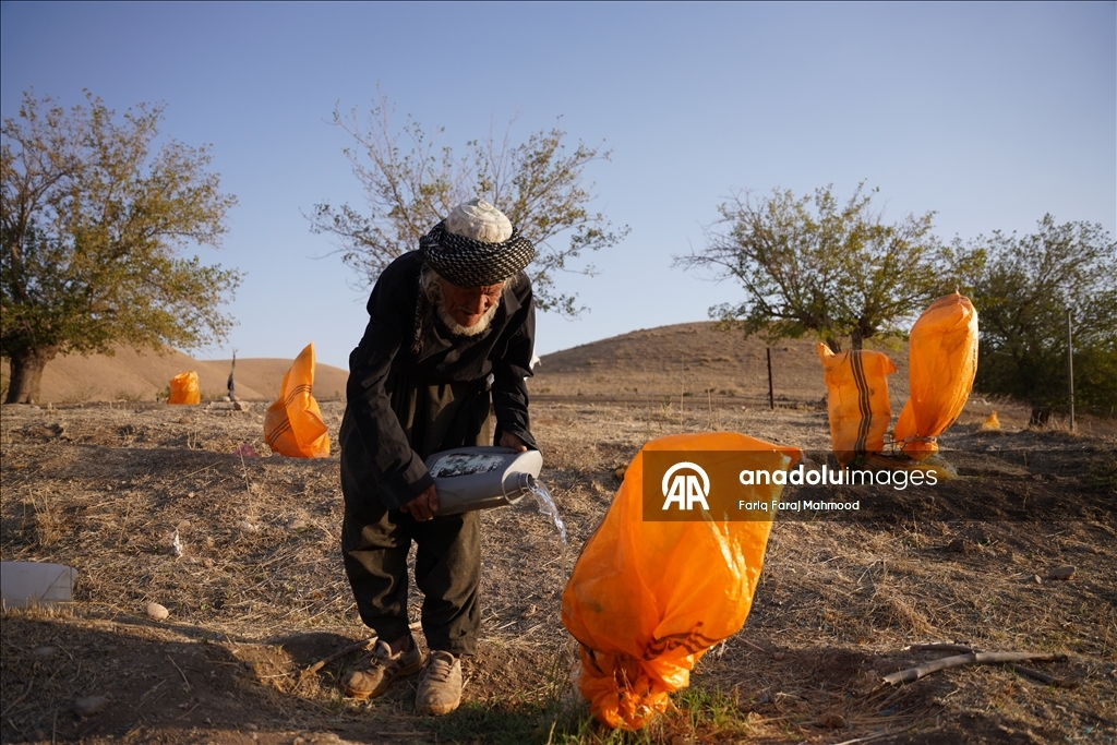 Kerküklü Derviş hem çobanlık yapıyor hem çocuklara Kur’an-ı Kerim öğretiyor