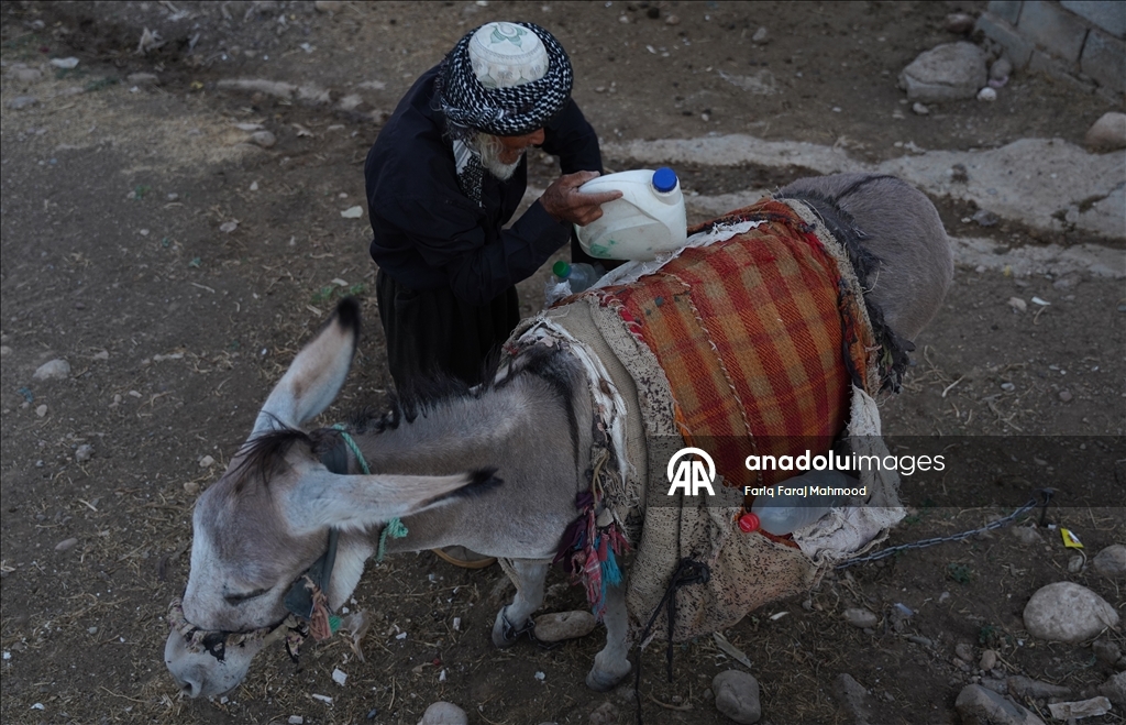 Kerküklü Derviş hem çobanlık yapıyor hem çocuklara Kur’an-ı Kerim öğretiyor
