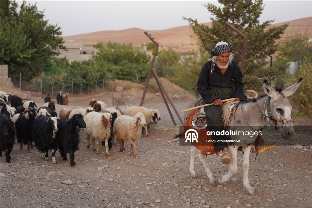 Kerküklü Derviş hem çobanlık yapıyor hem çocuklara Kur’an-ı Kerim öğretiyor